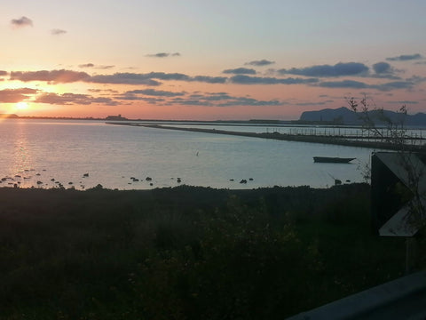 Olio Sud – Sizilianisches Bio Olivenöl extra vergine 0,5L