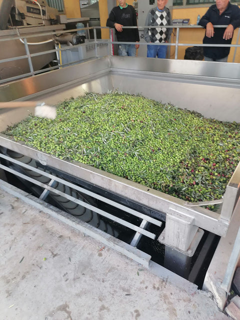 Olio Sud – Sizilianisches Bio Olivenöl extra vergine 0,5L